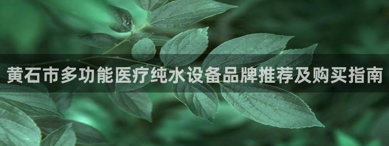 试玩电子平台巴美列捷福：黄石市多功能医疗纯水设备品牌推荐及购买指南